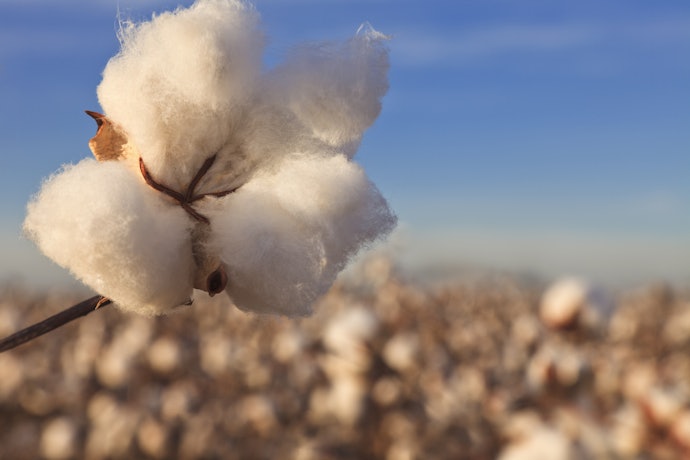 Plant Fibers for Medium Softness