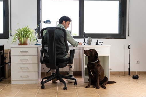 Boost Productivity and Relaxation With a Reclining Office Chair