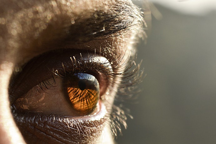 Macro Lenses Are Perfect for Capturing Fine, Intricate Details