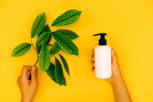 Argan Oil to Bring Back Nourishment to Dry Hair