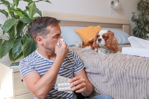 Take Antihistamine Tablets or Syrups if Allergies Are the Trigger