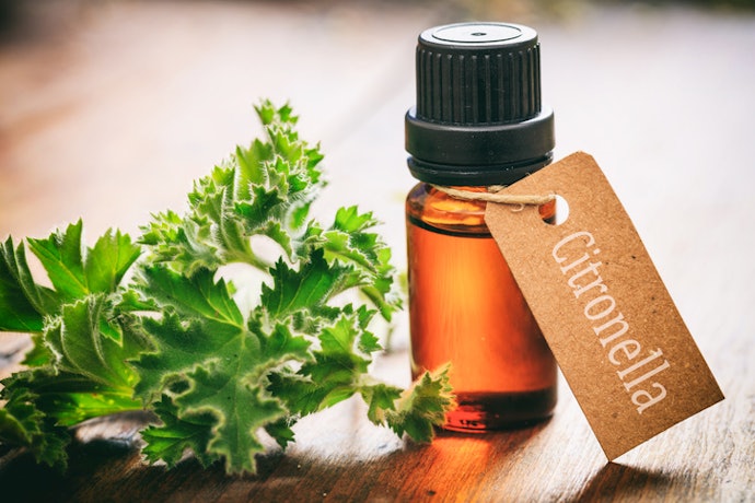 DEET-Free: A Natural and Gentle Option, Effective for Low to Moderate Intensity Activities