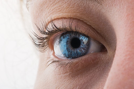 Zinc to Support Retinal Function and Vitamin A Absorption