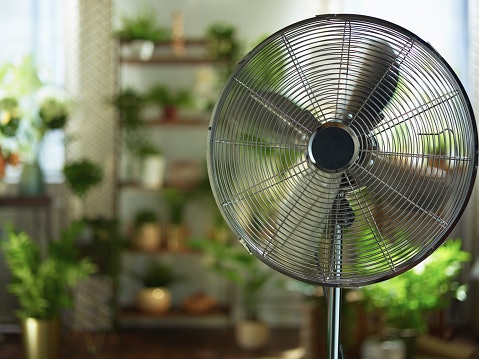Pedestal Fans Come With an Adjustable Height to Circulate Air More Evenly