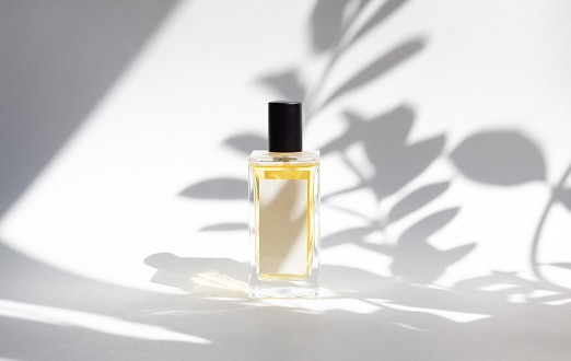 Opt for Aromatic, Fruity, and Smokey Scents for Trendy Appeal