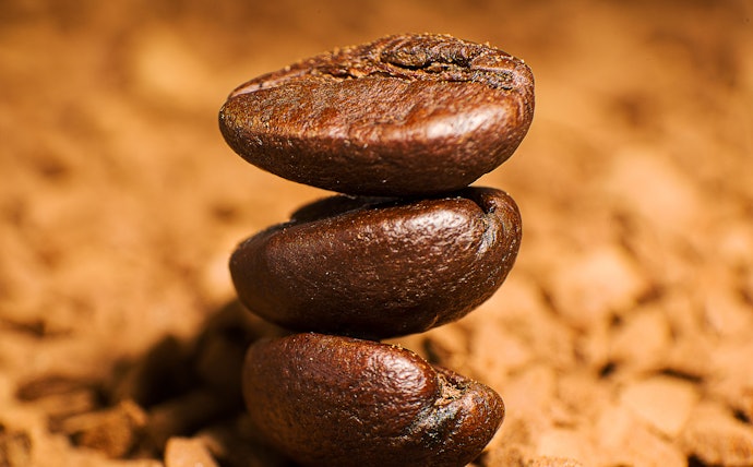 Pick Light Roasts for Bright, Fruity Notes