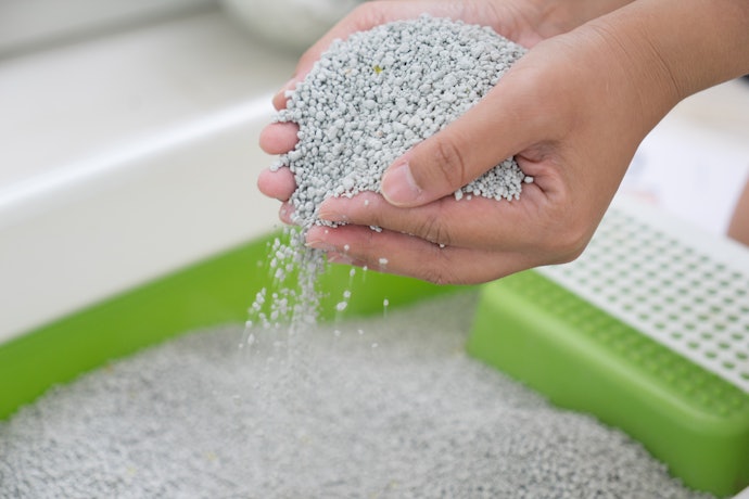 Clay Litter: Fast Absorption and Excellent Odor Control but More Dust