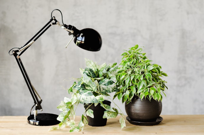 Be Aesthetically Pleased With an Electric Candle Warmer With Bulbs