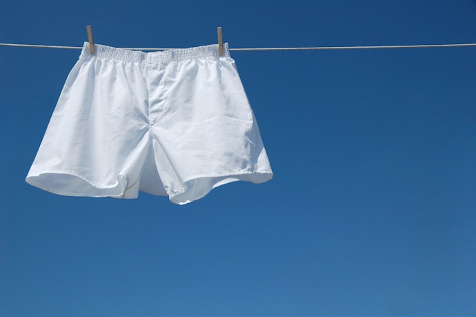 Cotton Boxer Shorts Are Best for Lounging at Home