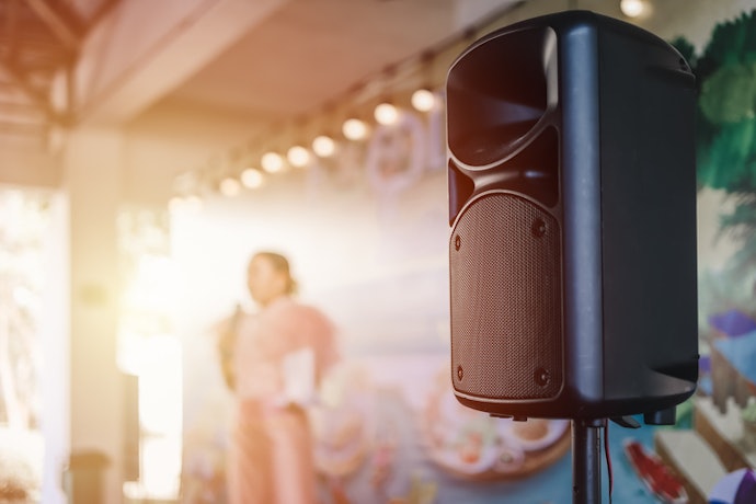 Passive Speakers for Custom Audio Setups