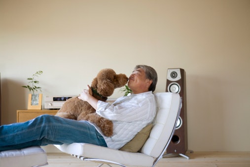 A Sofa Bed With a Reclining Backrest Is Easy to Use