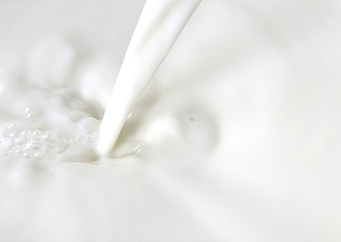 Ready-to-Serve Cat Milk: No Mixing Needed for On-the-Go Feeding