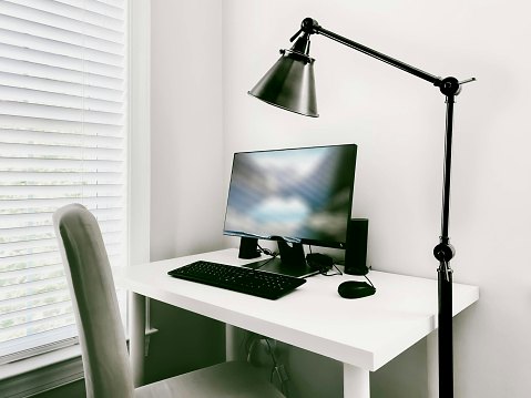 Generic-Type Monitors for Home and Office Use