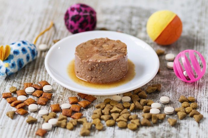 Wet Kitten Food: For Kittens Under 8 Weeks or Kittens That Don't Drink Much Water