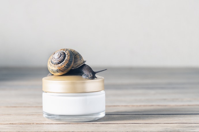 Snail Mucin, Retinol, Collagen, Hyaluronic Acid, and Ceramides to Retain Moisture and Reduce Wrinkles