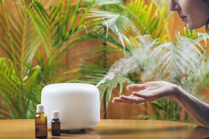 For Air Purification: Pick a Tea Tree Oil With Antibacterial Properties