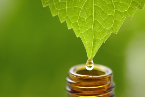 Tea Tree Oil: For Mild to Moderate Odor With Acne-Prone Skin