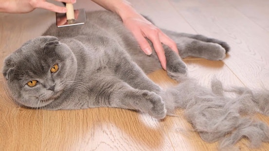 For Double-Coated Breeds: Go for Deshedding Tools to Control Shedding