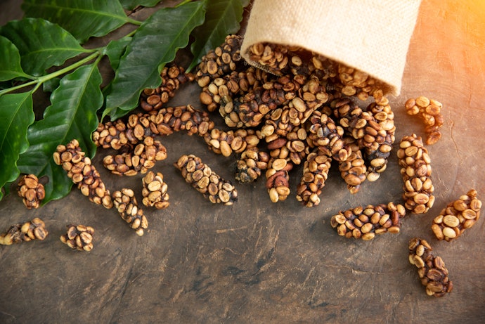 Go Exotic With Civet Coffee