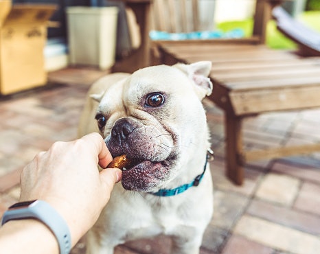 Dehydrated and Freeze-Dried Treats: Great for Nutrient-Rich Snacking and Dogs Who Enjoy a Crunchy Texture