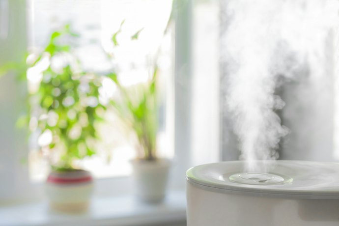 Choose Steam Humidifiers or Vaporizers for Hygienic Warm Mist in Adult-Only Homes