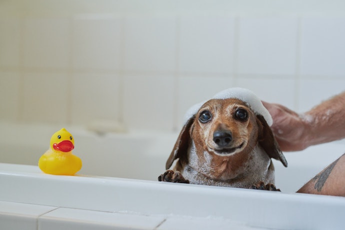 Avoid Sulfur and Sulfates to Prevent Further Dryness