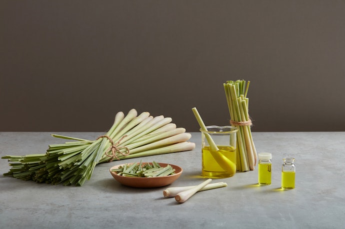 Opt for 100% Pure Lemongrass Oil