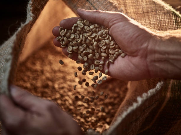 Select Java for Some Herbal, Spicy, and Smoky Twist