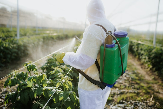 Synthetic Insecticides Are Easily Accessible