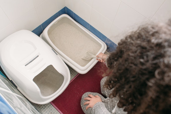 Non-Clumping Cat Litter: Lower Cost and Simpler Daily Routine