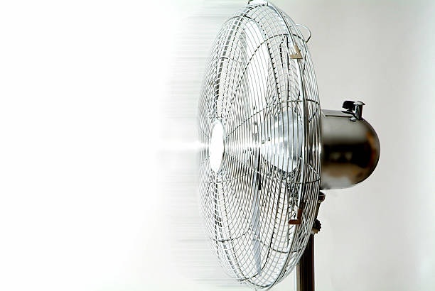 If It Stays in One Place, a Heavier Steel-Blade Build Offers Better Durability