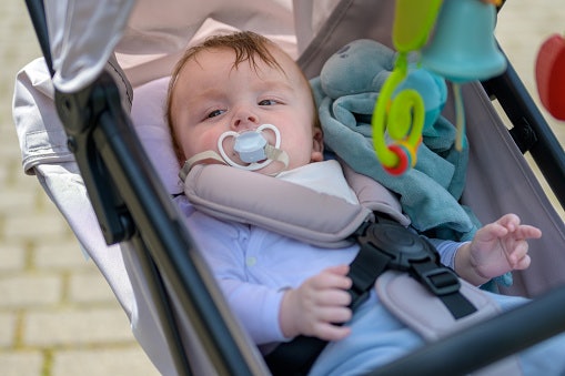 Five-Point Harness With Padded Straps Delivers a Snug, Secure Fit