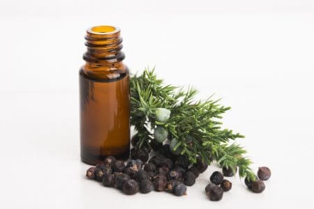For Oily Hair and Scalp, Look For Volumizing and Balancing Ingredients