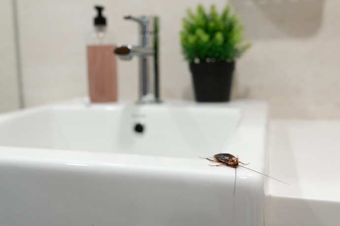 Broad Spectrum Insecticides Targets All-Kinds of Insects