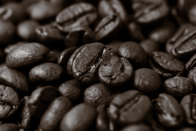 Select Dark Roasts for Bold, Chocolatey Coffee