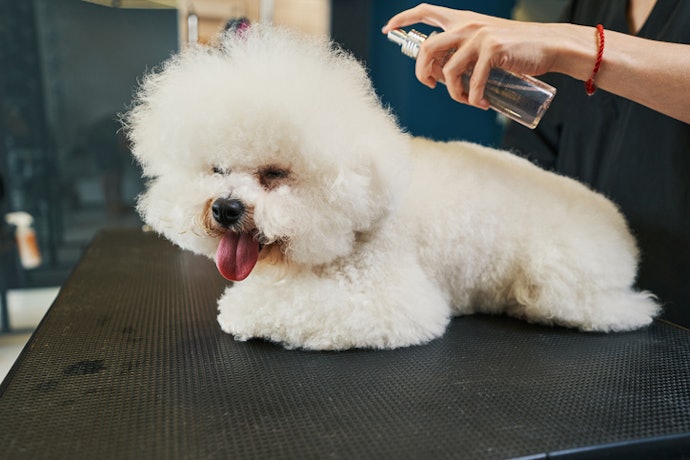 To Address Mild Ticks and Fleas, Go for Anti-tick Dog Colognes