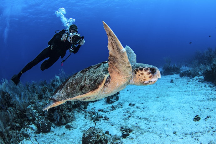 Opt for One That Can Resist a Depth of at Least 10 Meters Underwater
