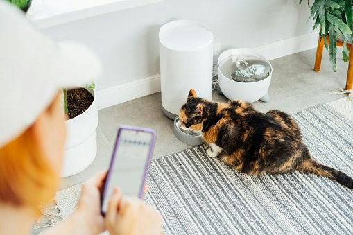 Choose App-Controlled Feeders to Handle Unexpected Schedule Changes