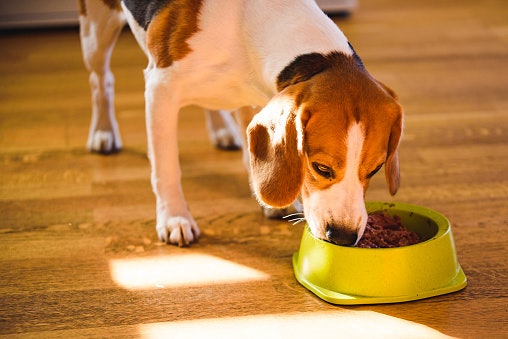Meal Replacements Are Complete With the Required Daily Nutrients